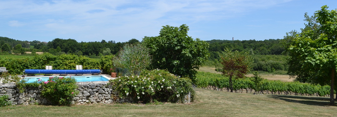 Bergerac rental house Pool and vines